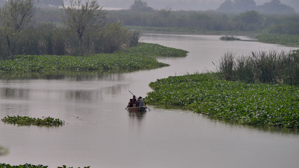 Indian states have fought over shared rivers for long. Modi must make them cooperate.