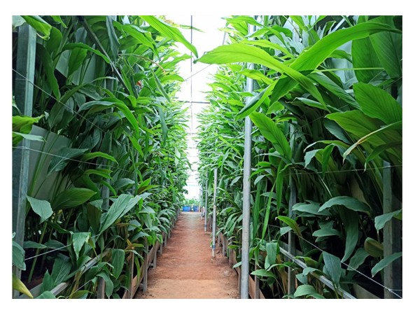 A S Agri and Aqua LLP - Pioneering force behind Hi-Tech Soil-Based Vertical Farming in India &ndash; ThePrintA S Agri and Aqua LLP, Founded by Dr Pr...