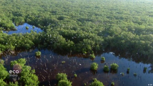 The Sundarbans: Severely affected by climate change | Flipboard