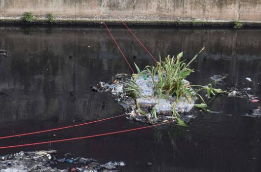 Floating Island of Plants to Clean Mumbai’s River