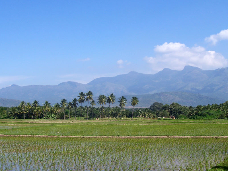 Tamil Nadu Gets $318 Million World Bank Loan For Irrigation Projects