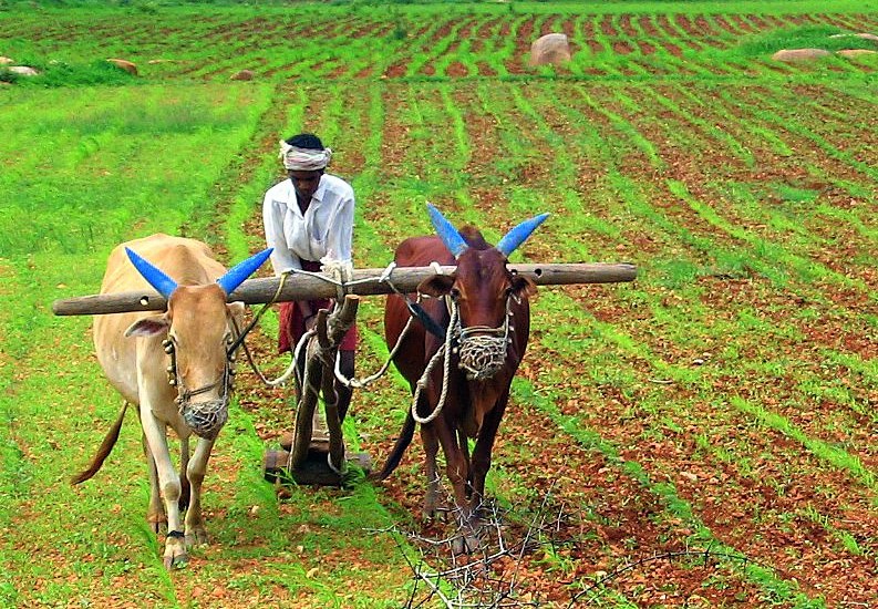 ANDRITZ Irrigation ​Project Aids ​Indian Farmers ​