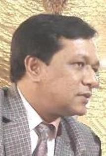 Harsh K. Kapoor, Consultant