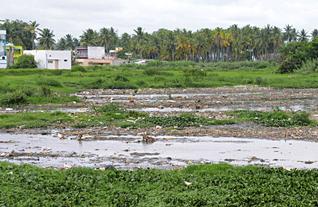 The Disappearing of Mysuru Waterbodies