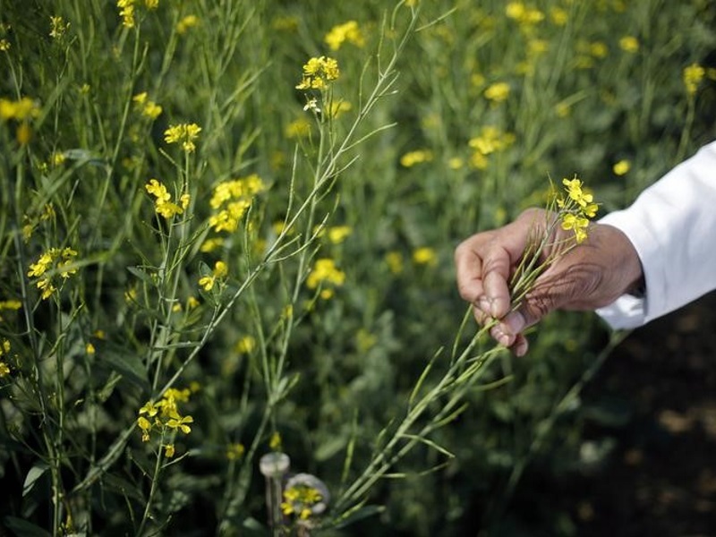 New Software For E-Connectivity of Agricultural Markets