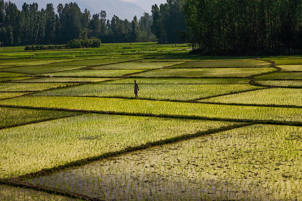 Pakistan World’s Top Groundwater Exporter, India Ranks 3rd