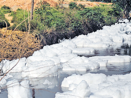 Can Nanotechnology Clean Bellandur Lake?