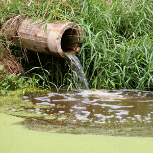 Wetlands to Help Treat Drains