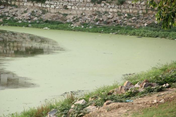 Saving India's Vanishing Water Bodies