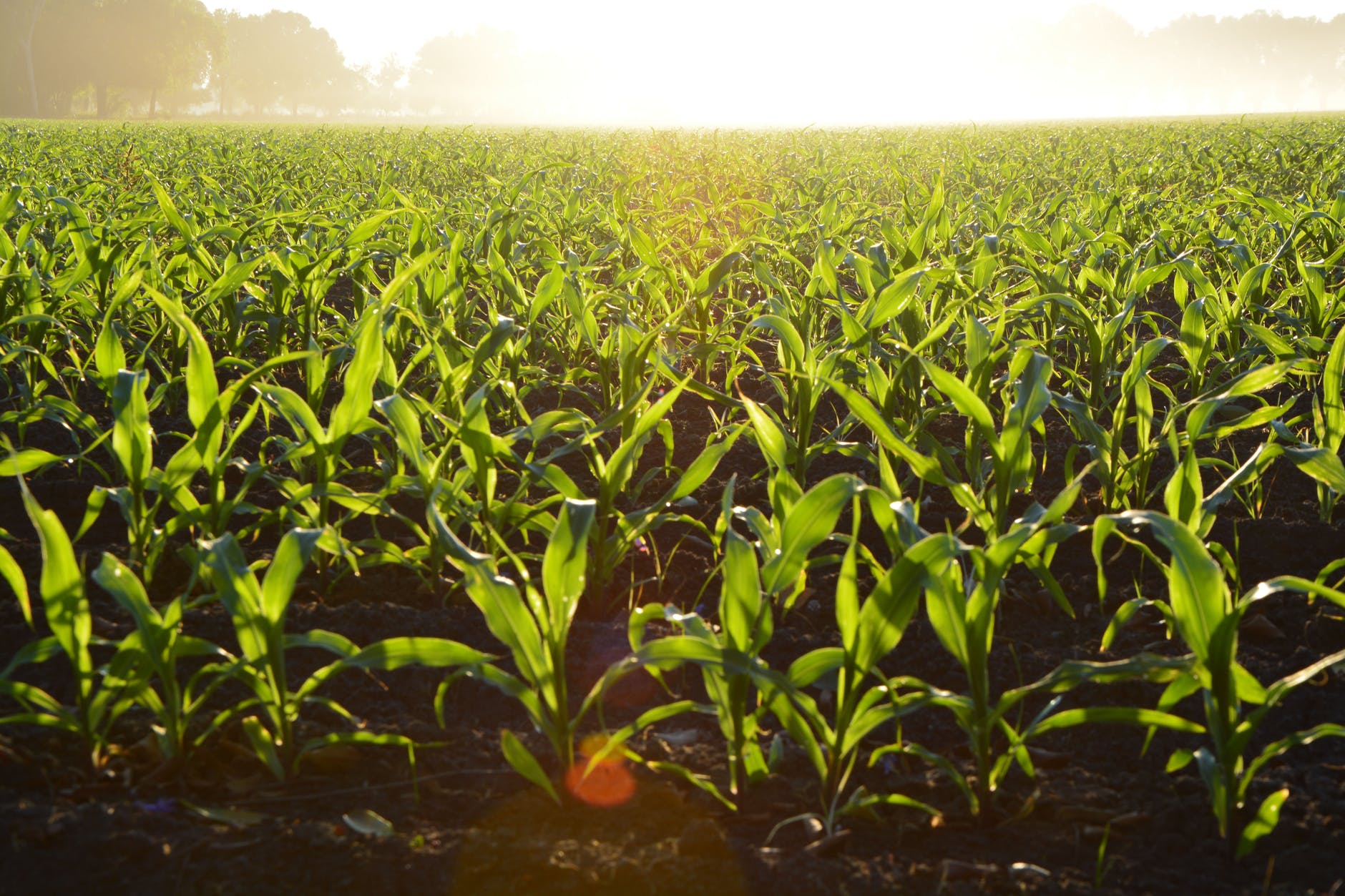 The Young Boy’s Startup Helps Farmers Fight Water Scarcity in Rajasthan