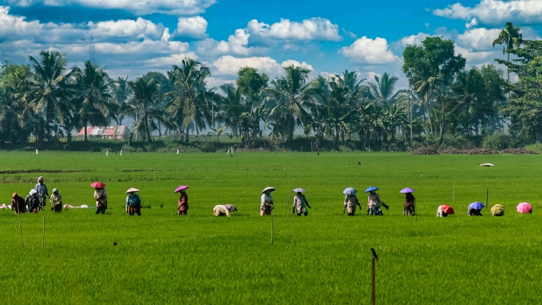 World Bank Approves Additional Financing to Build Climate Resilience in the Indian State of Kerala