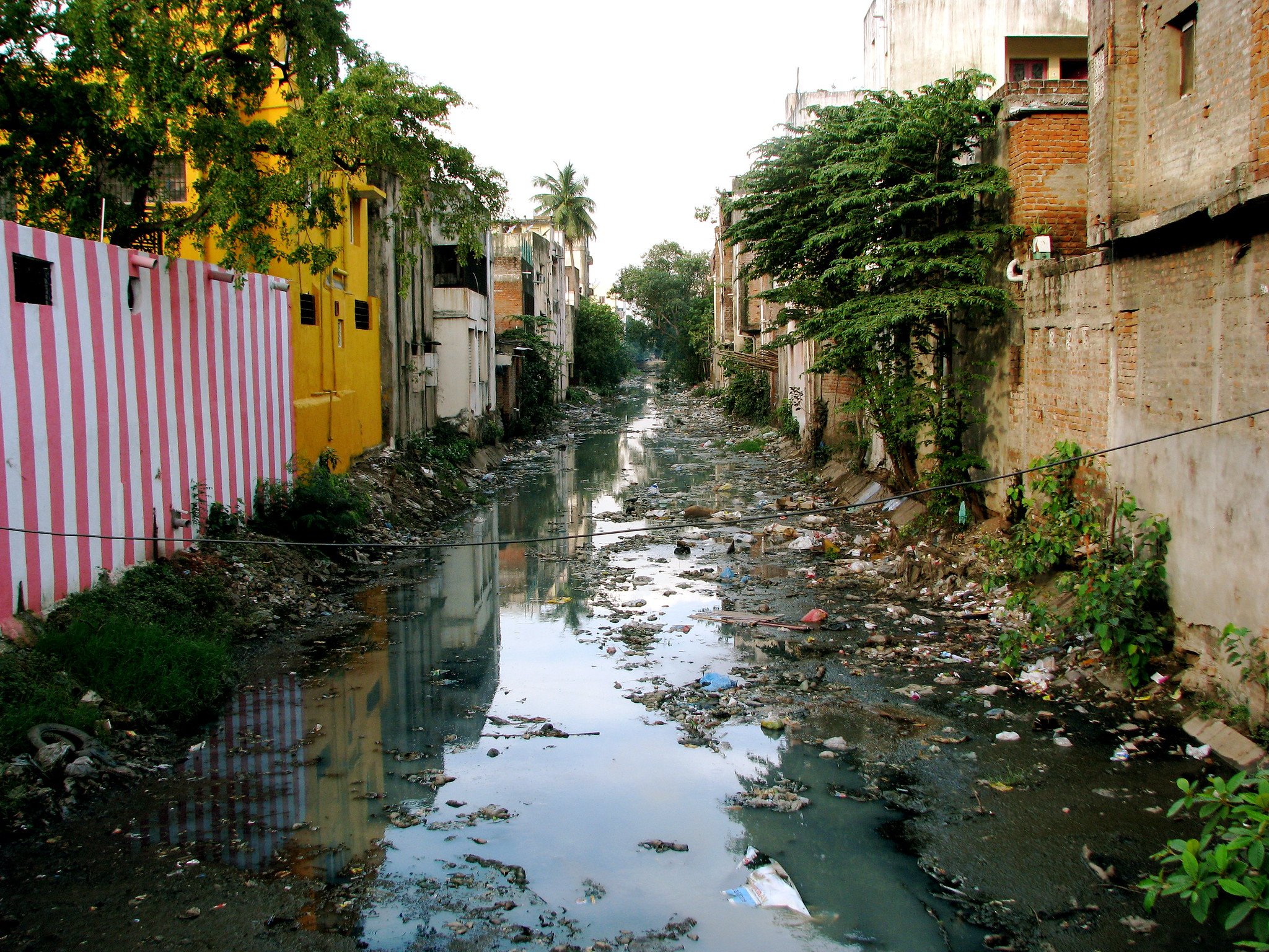How Water Pollution in India Kills Millions - BORGENThe Consequences of India&rsquo;s Poor Water QualityAround 70% of wastewater goes untreated and ...
