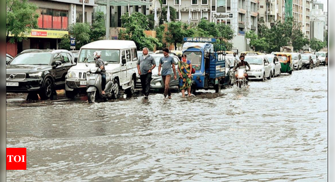 Ahmedabad: &lsquo;Sponge roads to suck water faster&rsquo; | Ahmedabad News - Times of India