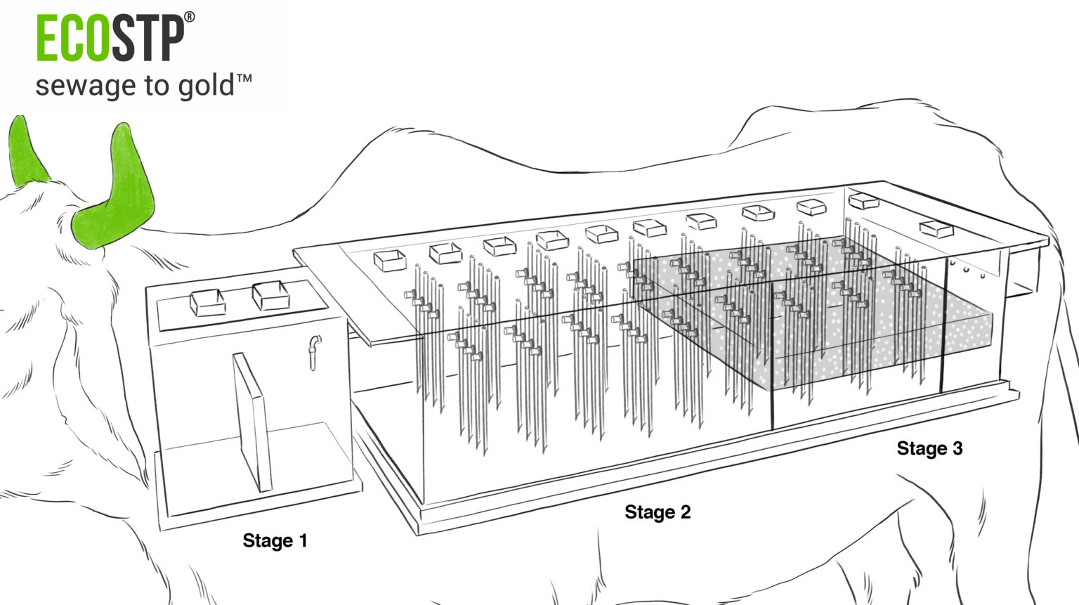 Zero-Power Tech Converts 59 Million Litres of Sewage into Reusable Water