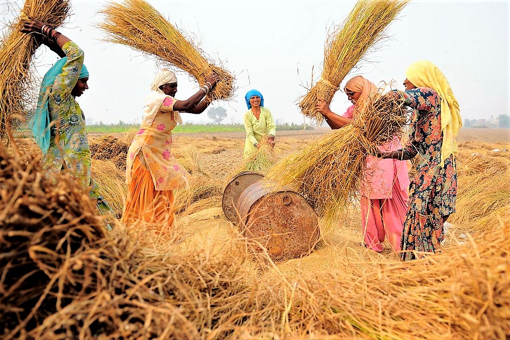 5 Ways India Must Help its Farmers Face the Threat of Climate Change