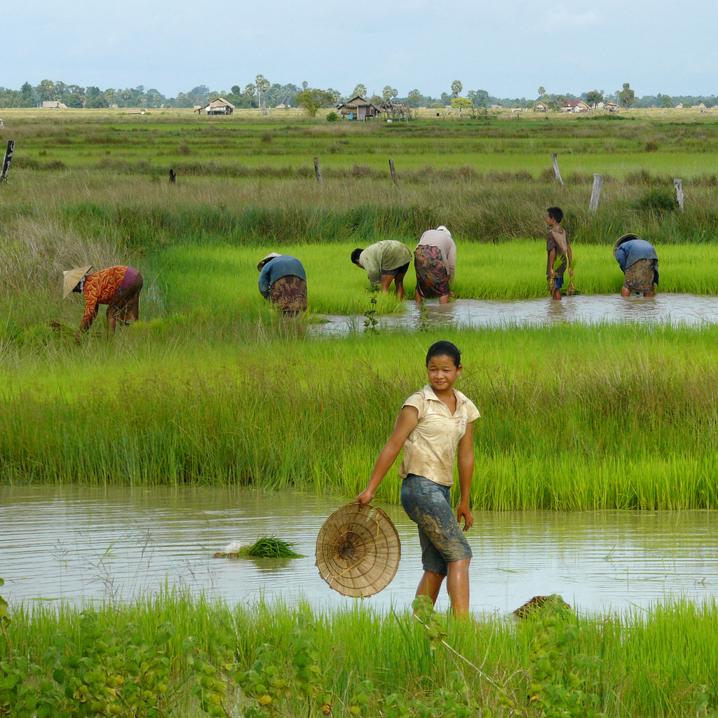 Fast depleting ground water is dangerous to Agriculture of India